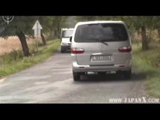 Пикаперы ебут телку в машине